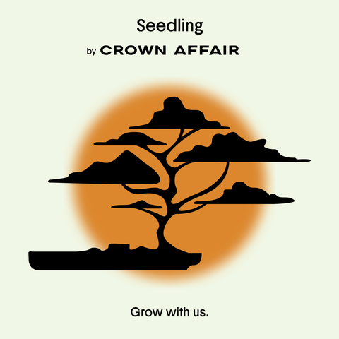 Introducing Seedling, <br>Our New Mentorship Program