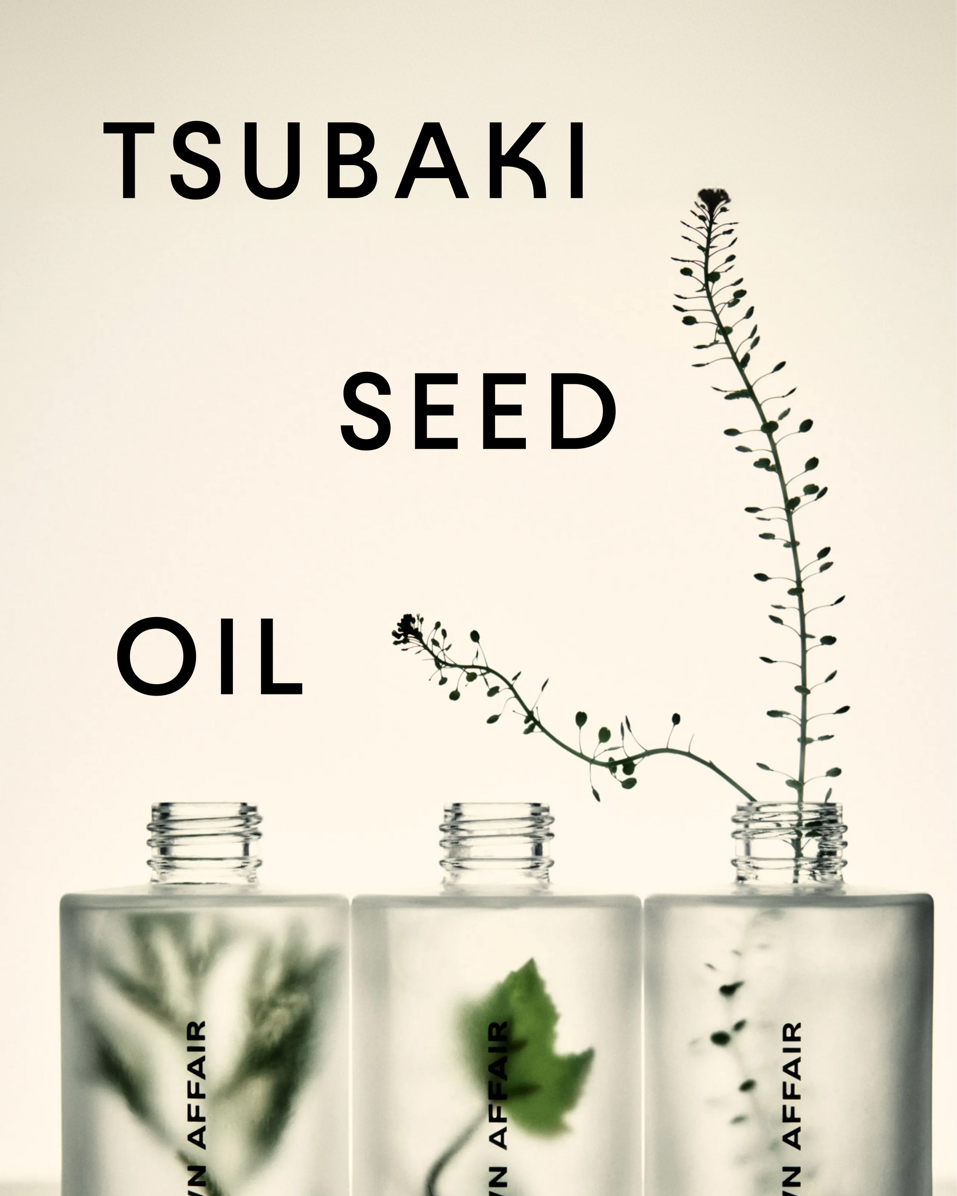 Tsubaki Hair Oil: Benefits & How to Use