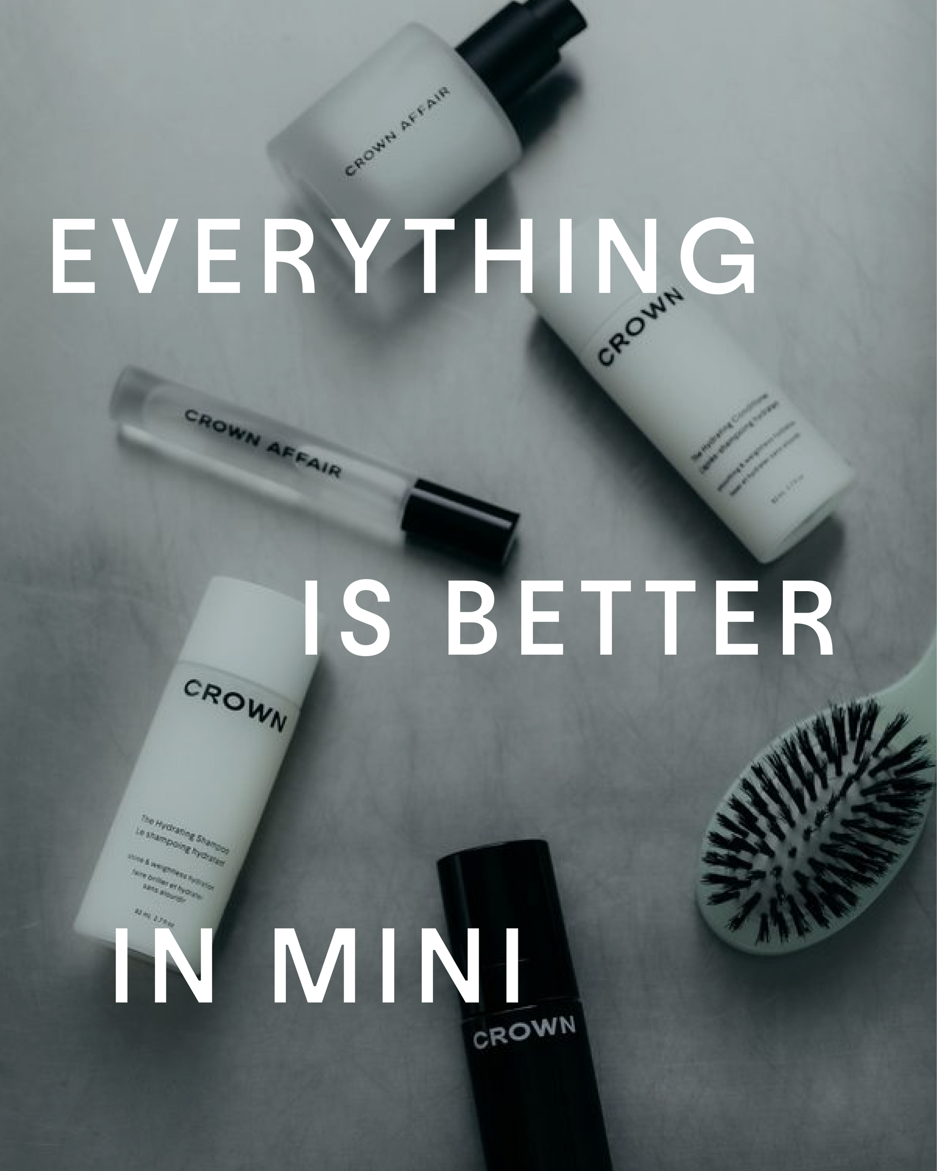 Everything Is Better In Mini: Travel Hair Care Products