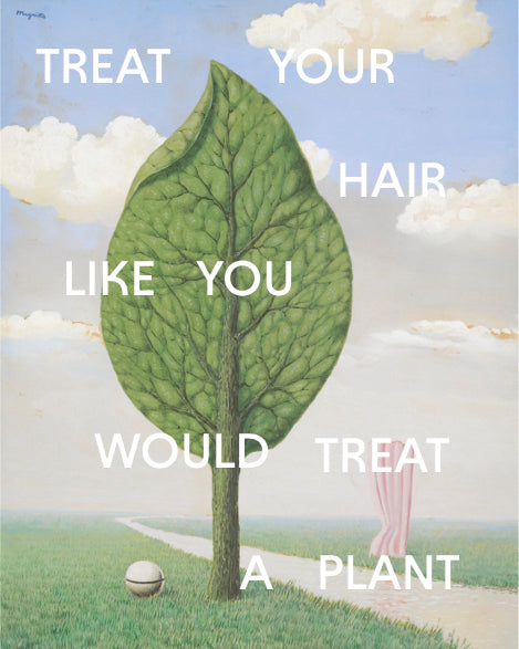 Treat Your Hair Like <br>You Would Treat a Plant