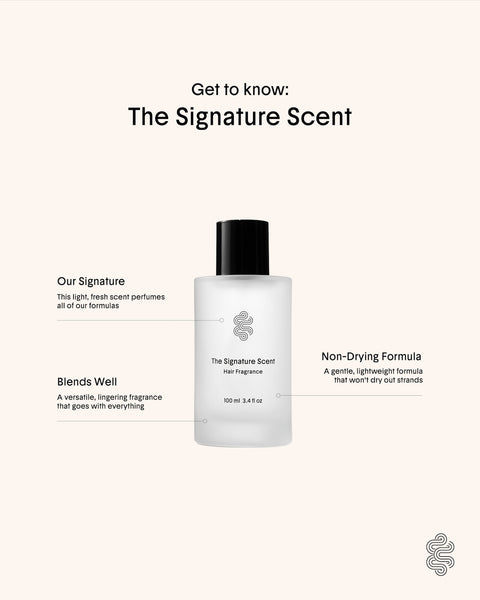 The Signature Scent: Holiday Edition